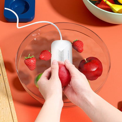 Portable USB Fruit and Vegetable Purifier Machine